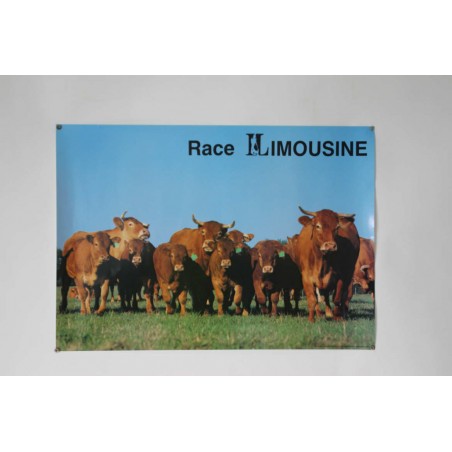 Poster Race Limousine