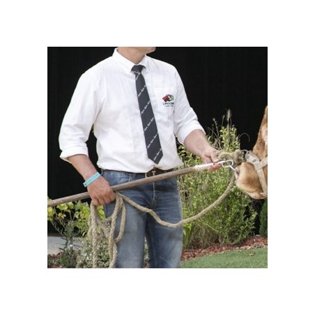 Chemise Homme manches longues