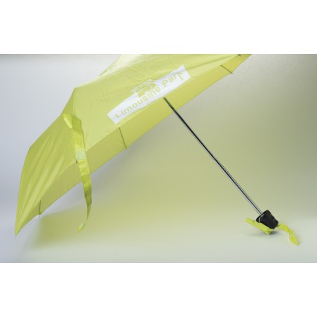 Parapluie Limousine Park