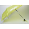 Parapluie Limousine Park